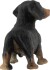 Gravhund Figur - Korthåret - 65441 - Bullyland