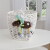 Lamaze - Mortimer Elgen - 941-27014