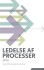 Ledelse Af Processer - Bpm