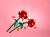 Lego 40460 - Roser - Botanicals