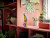 Lego Creator 3-In-1 - Eksotisk Papegøje - 31136