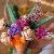 Lego Botanical Collection - Blomsterbuket - 10280