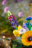 Lego Icons Botanical Collection - Blomster Buket - 10313