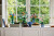 Lego Icons Botanical Collection - Blomster Buket - 10313