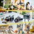 Lego Creator 3-In-1 - Skrivemaskine Med Blomster - 31169