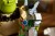 Lego - Shrek Æsel Og Den Bestøvlede Kat 72423
