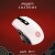 Lexip X Ubisoft - Assassin S Creed - Shadows Mouse