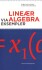 Lineær Algebra Via Eksempler