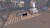 Little Kitty Big City