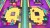 Lol Surprise Bbs Born To Travel