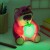 Lotso Colour Change Light