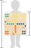 Small Foot - Ludo Spil I Træ - Xl