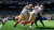 Madden Nfl 24