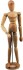 Modeldukke - Mand - 30 Cm - Lefranc Bourgeois