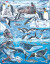 Puslespil Til Børn - Dyr Fra Antarctica - 66 Brikker