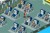 Mega Man Battle Network Legacy Collection Import