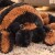 Mikamax - Tarantula Slippers