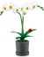Zuru - Mini Brands Create - Garden - Surprise Legetøj