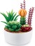 Zuru - Mini Brands Create - Garden - Surprise Legetøj