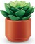 Zuru - Mini Brands Create - Garden - Surprise Legetøj