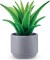 Zuru - Mini Brands Create - Garden - Surprise Legetøj