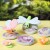 Mini Diy Kit Modellering - Sten Med Insekt - Grå - Lys Pink - Lys Turkis