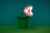 Mini Piranha Plant Posable Lamp V2