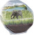 Clementoni - Science Play - My Wild Terrarium - Elephant