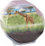 Clementoni - Science Play - My Wild Terrarium - Giraffe
