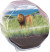Clementoni - Science Play - My Wild Terrarium - Lion