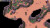 Monster Crown Sin Eater
