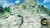 Monster Hunter Stories 3 Twisted Reflection