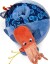 Moulin Roty - Aktivitetsbold Med Havdyr - Les Aventures De Paulie