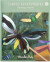 Moulin Roty - Fantasy Board Dekoark - Tout Autour Du Monde