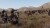 Mount Blade Ii Bannerlord