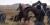 Mount Blade Ii Bannerlord