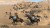 Mount Blade Ii Bannerlord