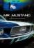 Mr Mustang