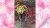 Muchi Muchi Pork Pinksweets Boosted - Muchi Muchi More Edition