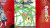 Muchi Muchi Pork Pinksweets Boosted - Muchi Muchi More Edition