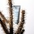Murad - Quick Relief Moisture Treatment 50 Ml