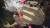 My Hero Academia Alls Justice