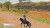 My Life Riding Stables 3