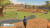 My Life Riding Stables 3