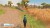 My Life Riding Stables 3
