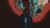 Naiad Flow Edition