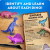 National Geographic - Dinosaur Excavation Kit - Assorteret