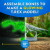 National Geographic - T Rex Glow-In-The-Dark Dissection Lab