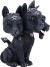 Nemesis - Cult Cuties - Diabarkus