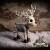Nemesis - Silent Nightmares - Rudi